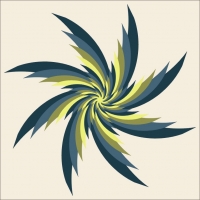 6d2b 20x20